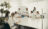 Team_c_sanacare-1